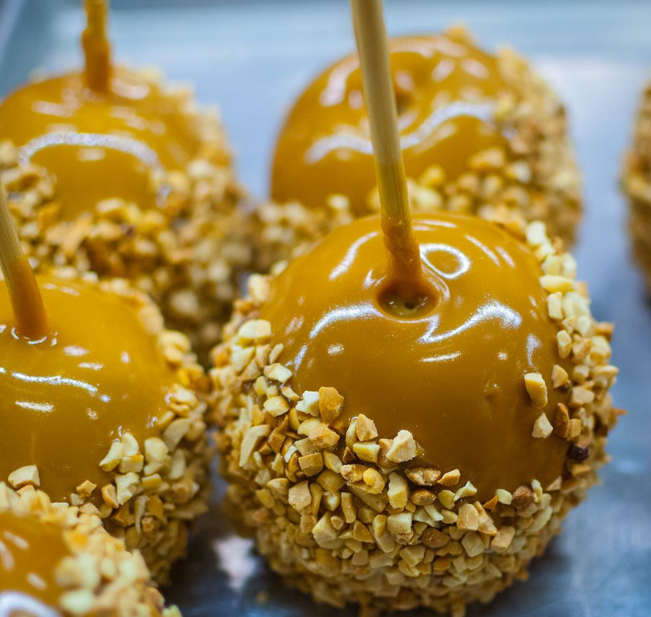 Caramel apples on sticks with their lower halves coated in chopped peanuts