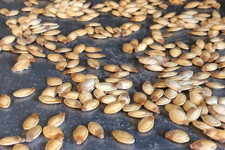 Roasted pumpkin seeds spread out on a dark baking tray